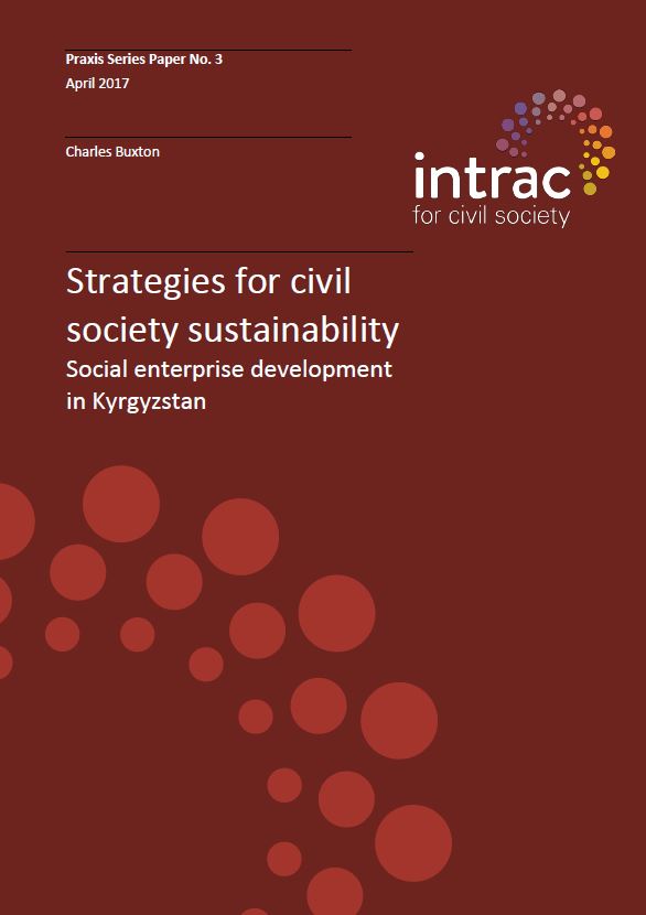 Praxis Series 3. Strategies for civil society sustainability cover